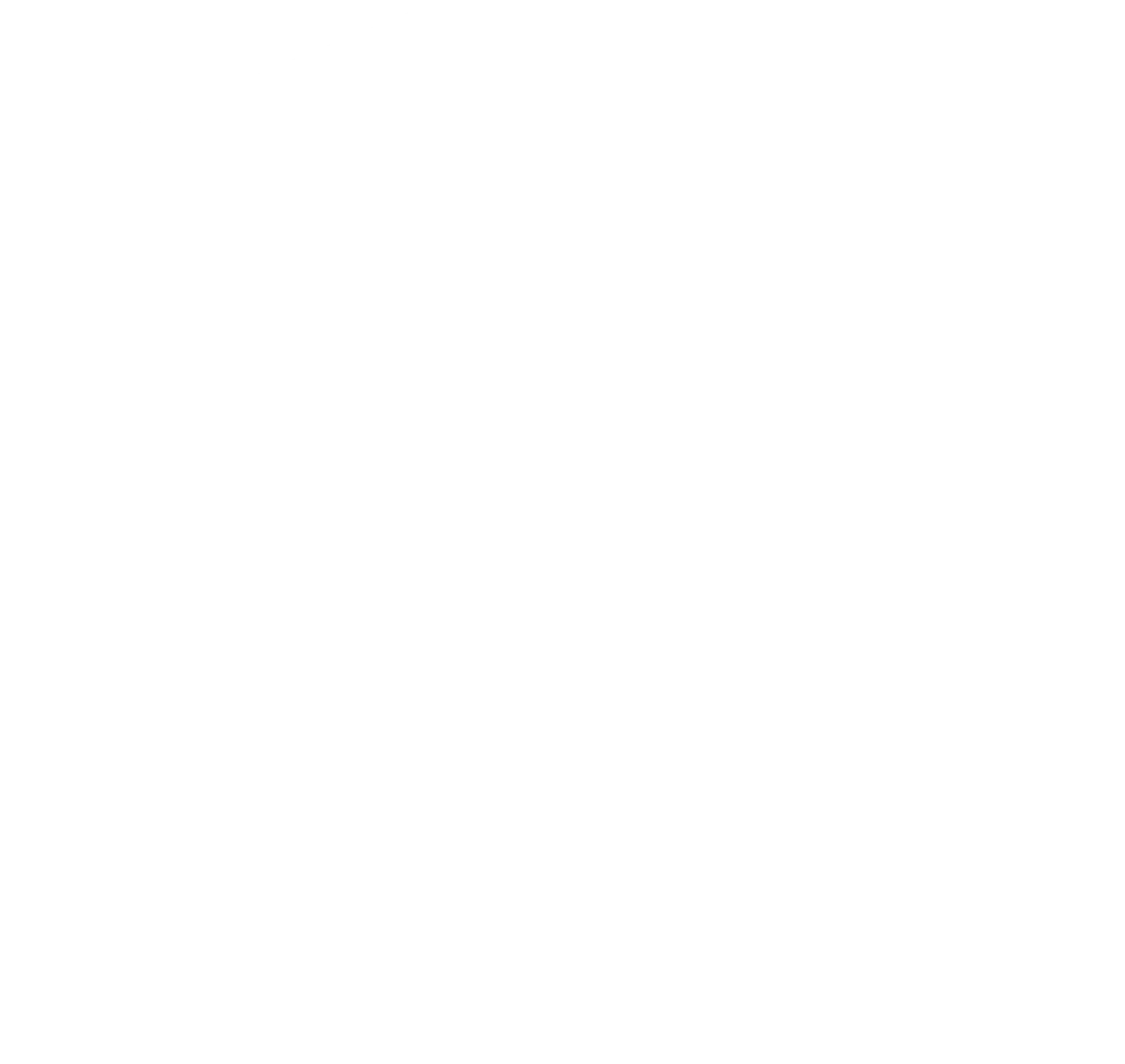 Secure Mission Security